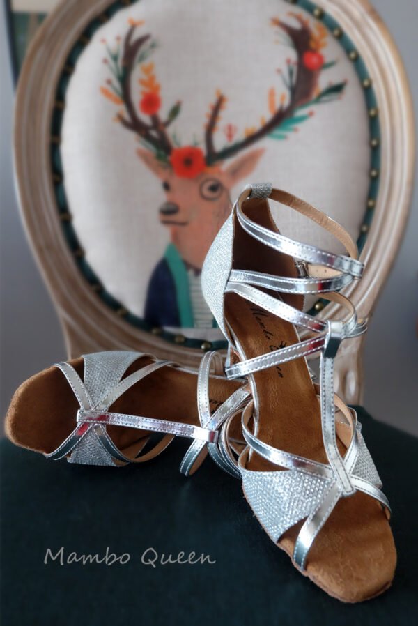 Silver black  pink salsa dance shoes