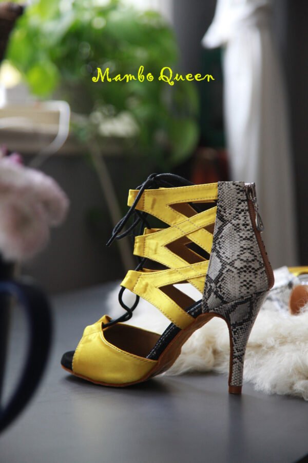 Fashion style Latin dance shoes