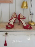 Classic and versatile tango shoes