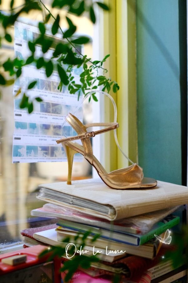 tango shoes Simple versatile woman argentina tango shoes