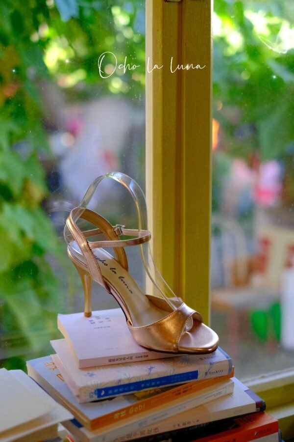 tango shoes Simple versatile woman argentina tango shoes